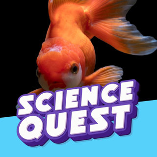 GOLDFISH MYTH: The Truth About Their 3-Second Memoryđ đ§