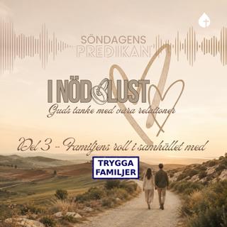 Del 3 - Familjens roll i samhället (Emanuel Norén, Trygga Familjer)