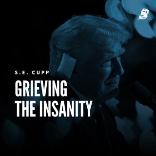 S.E. Cupp: Grieving the Insanity