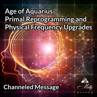Age of Aquarius Primal Reprogramming ~ Channeled Msg