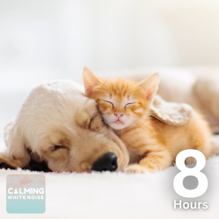 White Noise for Anxious Pets | 8 Hours of Calming Sounds to Soothe Dogs & Cats During Fireworks