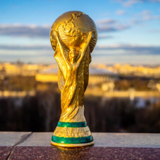 Brazil is the only country in the world to qualify for every single world cup!