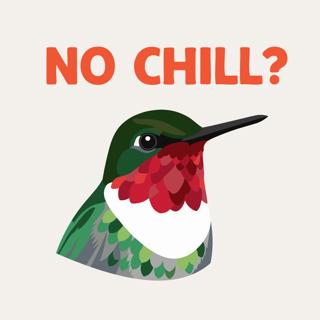 Okay, but do hummingbirds ever chill?
