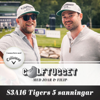 S3A16 Tigers 5 sanningar