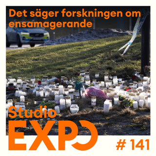 141. Det säger forskningen om ensamagerande