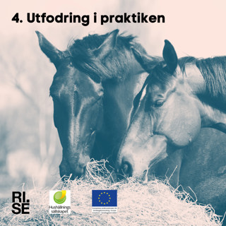 Utfodring i praktiken