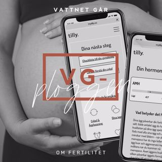 293. VG-ploggen - "Hur funkar vår fertilitet?"