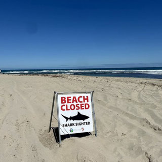 Surfer seriously injured in shark attack