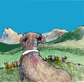 Vandra med hund [Lyssnarfrågor]