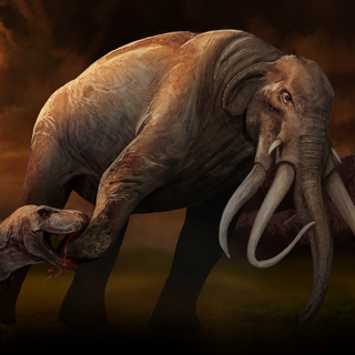 Would A T. Rex Survive Middle Earth?