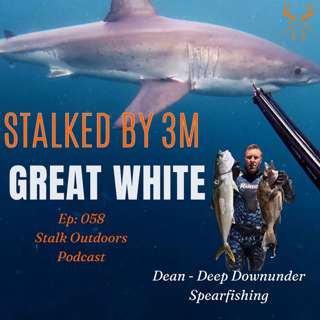 Stalked By 3m Great White Solo Spearfishing | Dean - Downunder Spearfishing