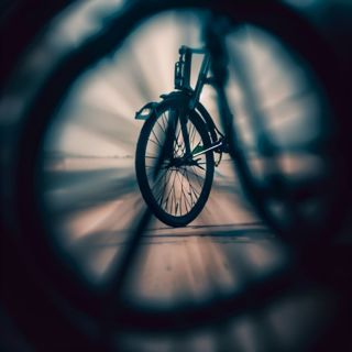 Going for a Spin