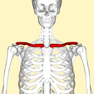 Podcast #244: Clavicle Fracture Review