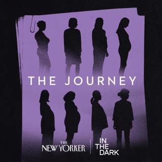 The Journey, Episode 3: The Industry