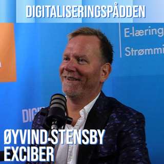 Øyvind Stensby, Exciber: Kan du implementere SAP på 12 uker?