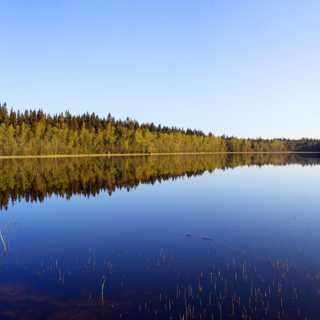 Gammal granskog i Strömbäck-Kont och nya ålgräsängar på västkusten