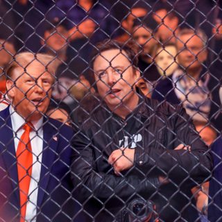 Трамп против Маска: бои без правил?