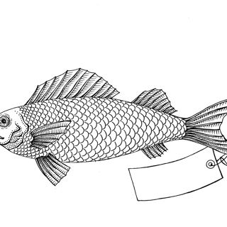 Why Fish Don't Exist