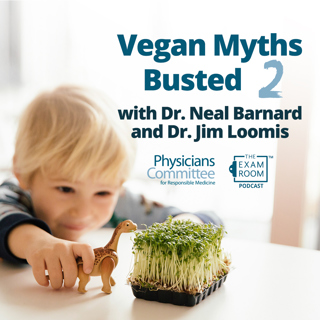 Diet Myths 2: Mock Meats, Organic vs. Conventional, Juice Fasts, Best B12