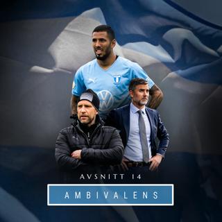 14. Ambivalens