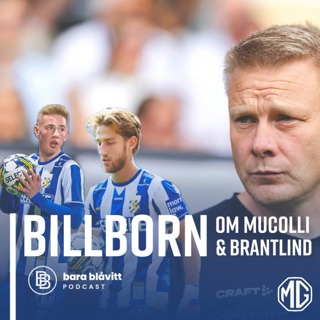 645. Billborn om Mucolli och Brantlind