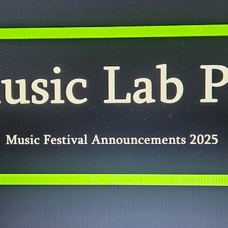 4.3 Music Festival Annoucements for 2025!