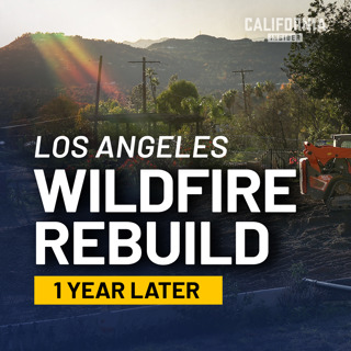 Where the Palisades Stand One Year After the Fires | Builder-Side Panel