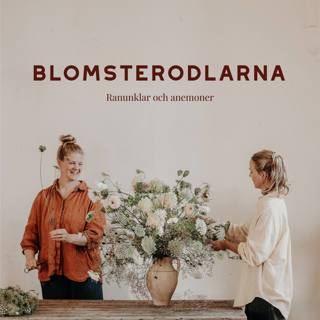 Ranunklar och anemoner