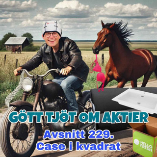 229. Case i kvadrat