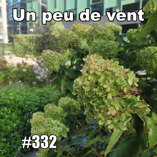 Un peu de vent peut-il faire ça ? (Le blog de Hervé Bizeul) — mercredi 16 septembre 2026