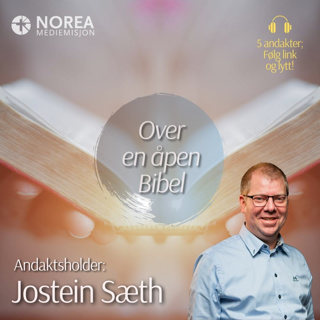 E2529 -4-Jostein Sæth - Skatter skjult i mørket