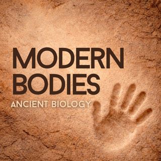 Ancient Appetites, Modern Success