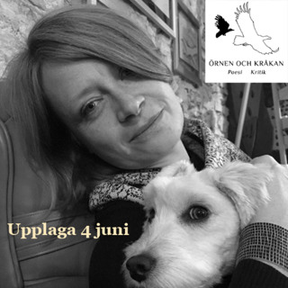 Sofia Stenström om Elisa Biagini