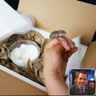 Ep 26: Shipping Chameleons with Chad Brown