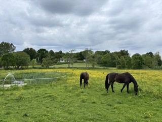 473. En härlig dag (repris från 368)