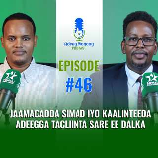 Jaamacadda SIMAD iyo Kaalinteeda Adeegga Tacliinta Sare ee Dalka