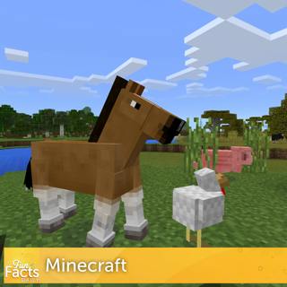 Fun Facts About Minecraft