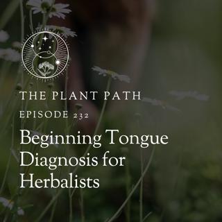 Beginning Tongue Diagnosis for Herbalists