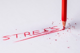 29. Mat vid stress och psykisk ohälsa - strategier och tips