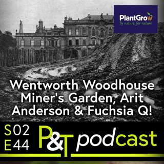 RHS Wentworth Woodhouse, Miner's Garden, Arit Anderson and Gardening Questions on Fuchsia & Plums