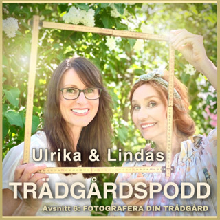 Avsnitt 6 - Fotorafera din trädgård