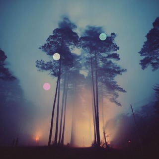 Windswept Woodland | Natural White Noise