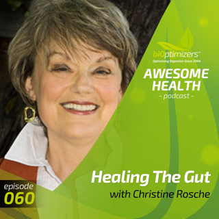 060: Healing The Gut with Christine Rosche