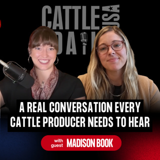 416: A Real Conversation Every Cattle Producer Needs to Hear with Madison Book