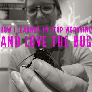 How I Learned to Stop Worrying and Love the Bug