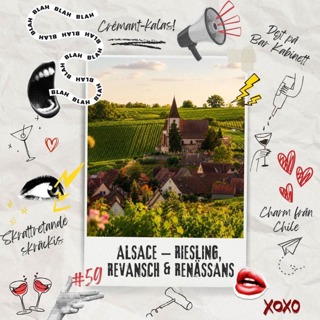 Alsace – riesling, revansch & renässans