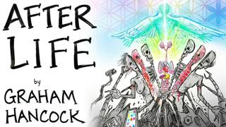 What is in the Great Beyond? - Graham Hancock | After Skool