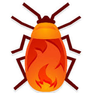 130: VIDEO - Aussie Firebug shares why he is no longer obsessive about F.I.R.E.