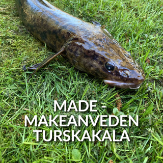 Made - makeanveden turskakala