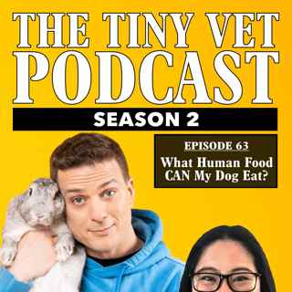 What Human Food CAN My Dog Eat?